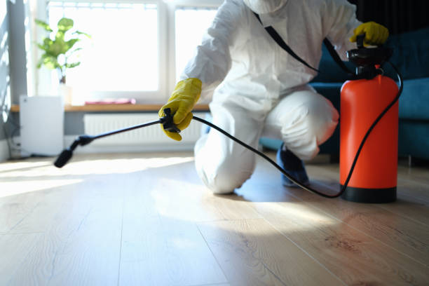 Affordable Sewage Cleanup solutions in George, IA